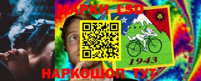 скорость Новозыбков