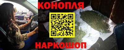 спиды Новодвинск