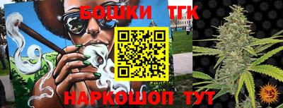 спиды Новодвинск