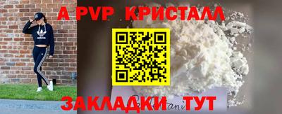 спиды Новодвинск