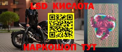 скорость Новозыбков